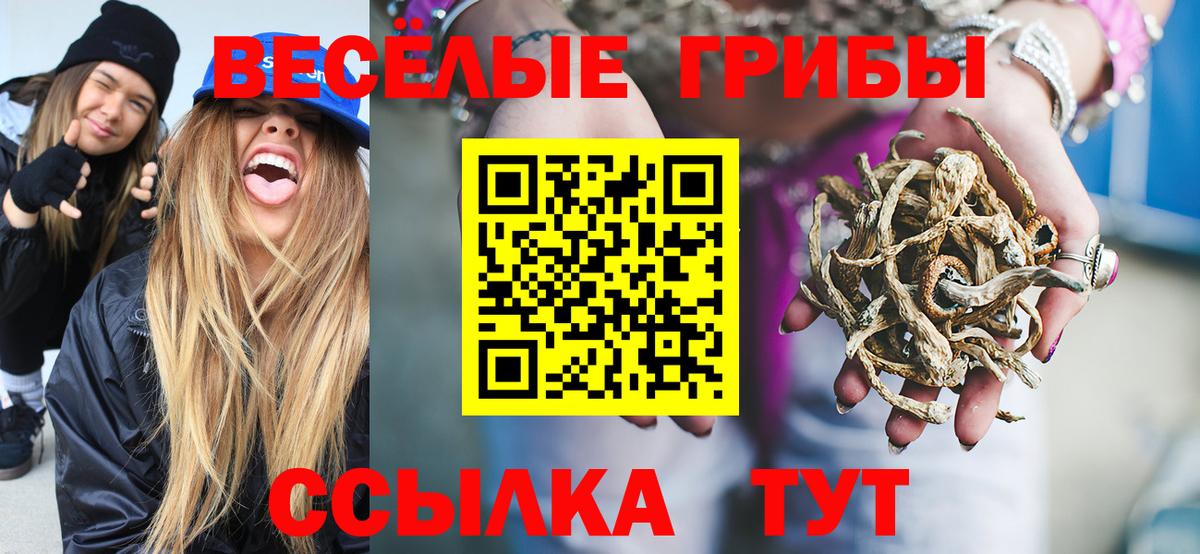 Псилоцибиновые грибы Magic Shrooms  Вход с VPN  Кингисепп  Псилоцибиновые грибы мицелий 